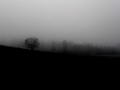 DSC05680_dark