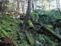 DSC05091