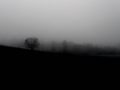 DSC05680_dark