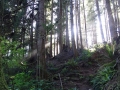 DSC06765