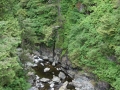 DSC06906