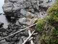 DSC07009