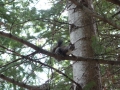 image022