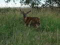DSC07170_edited