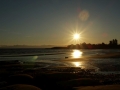 DSC07205
