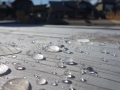 DSC05745.JPG