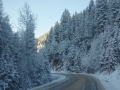 DSC05748.JPG