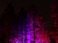DSC06212.JPG