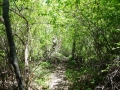 DSC06285.JPG