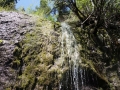 DSC06300.JPG