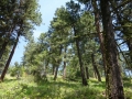 DSC06314.JPG