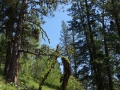 DSC06315.JPG