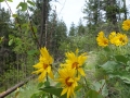 DSC06026.JPG