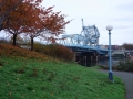 DSC05302