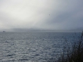 DSC05345