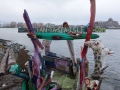 DSC05361